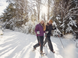 Cross country skiing at Blackwater Falls State Park