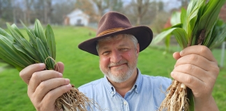 David Sibray with West Virginia ramps