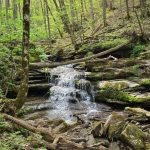 Waterfalls on the Big Branch Trail