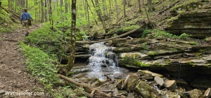 More than a dozen waterfalls drop through the ravine of Big Branch in the New River Gorge in West Virginia.