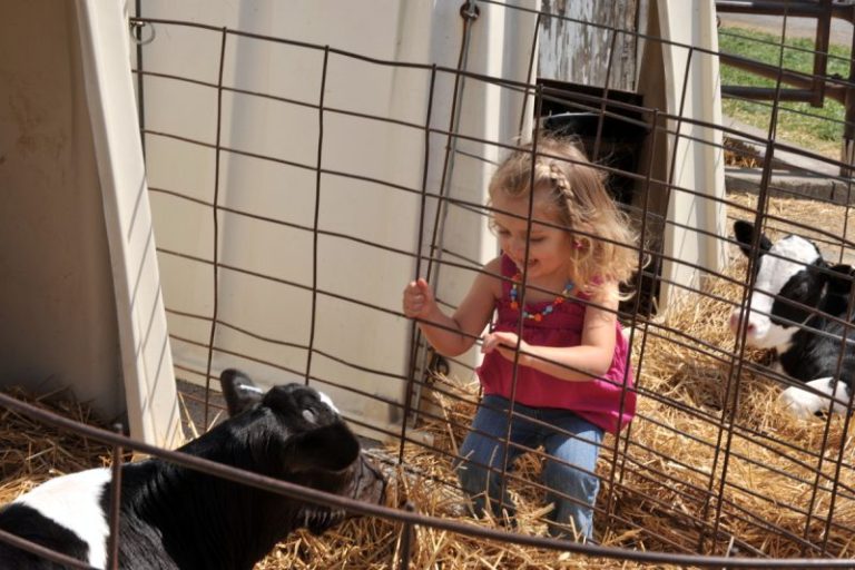 Agritourism creates additional revenue through direct sales between farms and consumers.