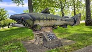 A fish statue raised to angler and school principal Oran "Bull" Farren testifies to the community's attachment to the river.