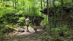 Caves and boulders in the New River Gorge region could help hide wary cryptids.