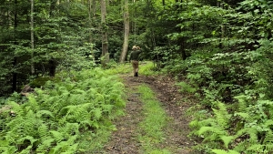 A private ATV trail wanders through the property from Barkers Creek to Peaks Ridge.