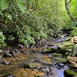 Barkers Creek at Basin, West Virginia