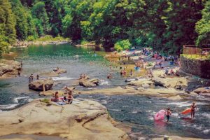 Best Swimming Holes in West Virginia