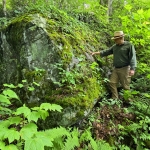 Boulder at McKinney Homeplace