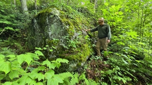 Dave Sibray studies plantlife growing on one of many boulders near the McKinney Homestead.