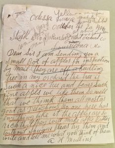 Golden Delicious apples described in a note by A.H. Mullins.