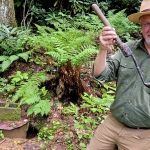 Spring at McKinney Homeplace