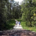 Hikers on biodiversity trail system at Buffalo, West Virginia