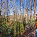 West Virginia farm for sale at Basin