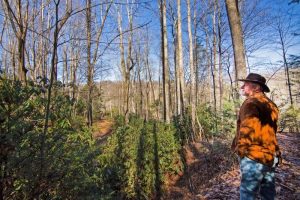 Farm for sale in West Virginia on Barkers Creek