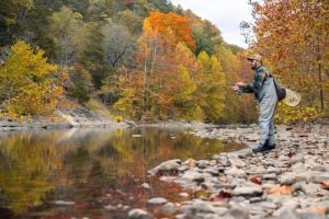 West Virginia fall foliage