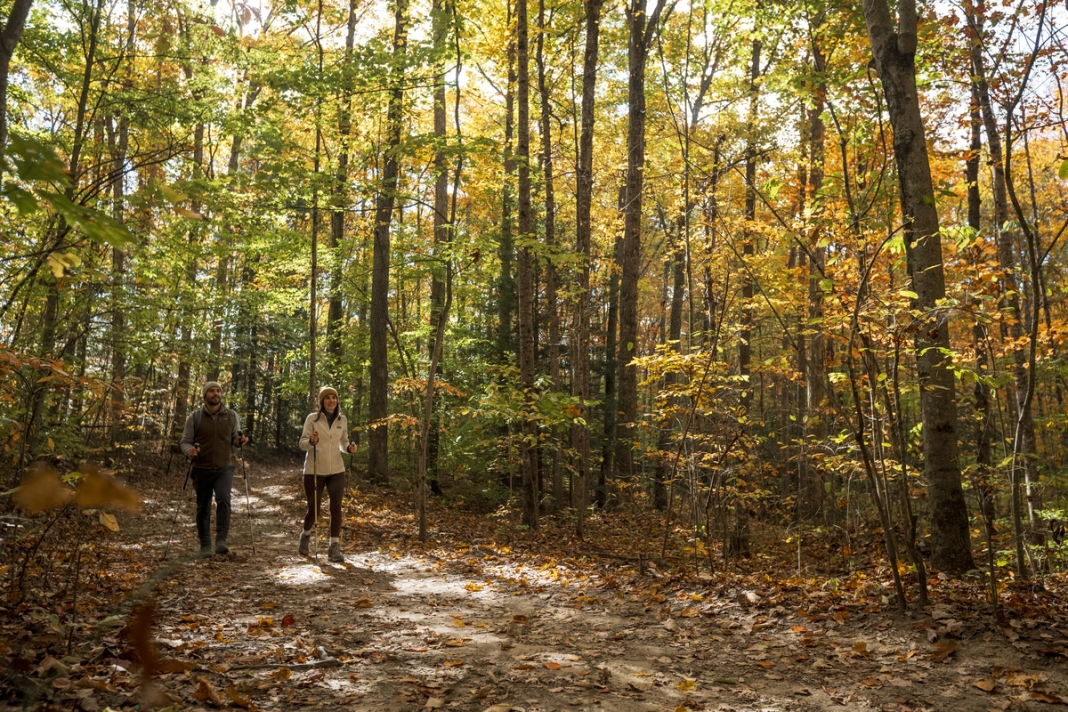 September in West Virginia: Woodland Walks