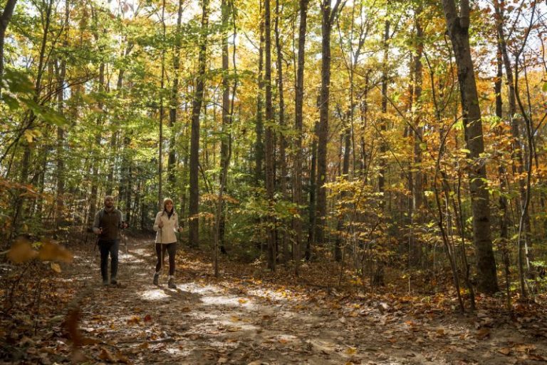 September in West Virginia: Woodland Walks