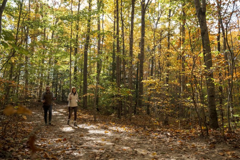 September in West Virginia: Woodland Walks