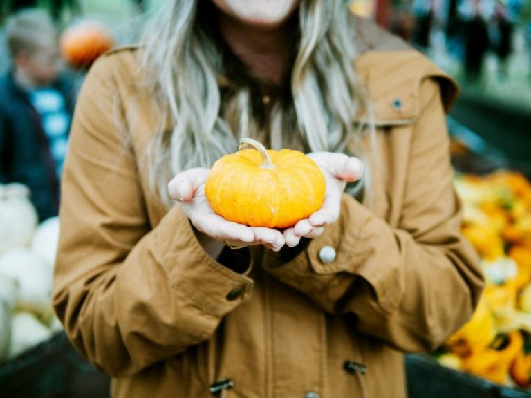 West Virginia Fall Harvest