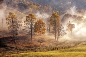 An autumn mist burns off along Madams Creek near Hinton.