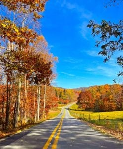Brilliant fall foliage first appears in the highlands of Summers County, here on Elk Knob Road.
