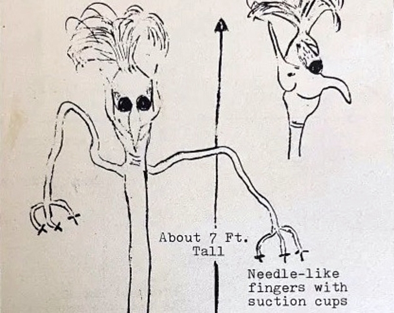 In the wooded hills of northern West Virginia, Vegetable Main appeared in 1968.