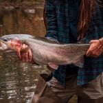The annual Monster Trout Contest gives anglers and their families a chance to reel in trophy-sized fish while enjoying peak fall foliage.
