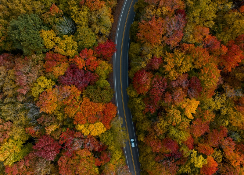 Peak fall color in West Virginia