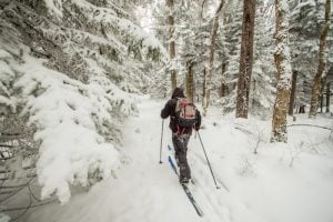Snow blankets a red spruce forest for which the summits of the Allegheny Mountains are renowned. (Photo: Mountain River Media)