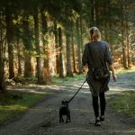Visitors to West Virginia pet-friendly state parks who bring their furry friends will receive a certificate and their pooches a commemorative dog tag.