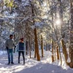 Held at 21 state parks and forests across West Virginia, the First Day hikes are part of a nationwide New Year’s Day tradition designed to promote outdoor recreation.
