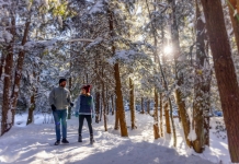 West Virginia state parks to ring in 2026 with 24 First Day hikes across the state Held at 21 state parks and forests across West Virginia, the First Day hikes are part of a nationwide New Year’s Day tradition designed to promote outdoor recreation.