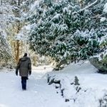 Winter hiking in West Virginia