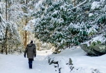 Three powerful reasons to hike West Virginia when the temperature drops Winter hiking in West Virginia