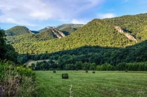 Similar to those at Seneca Rocks, fins of quartzite rise along the Wills Mountain Anticline. (Photo courtesy Rick Burgess)