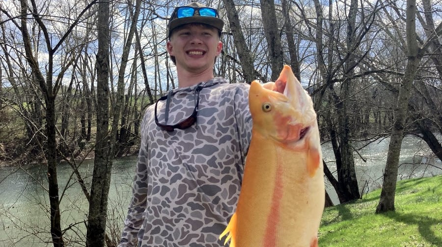 Hunter Rohr, 15, of Buckhannon, West Virginia, has caught a golden rainbow trout that set state records for length and weight.