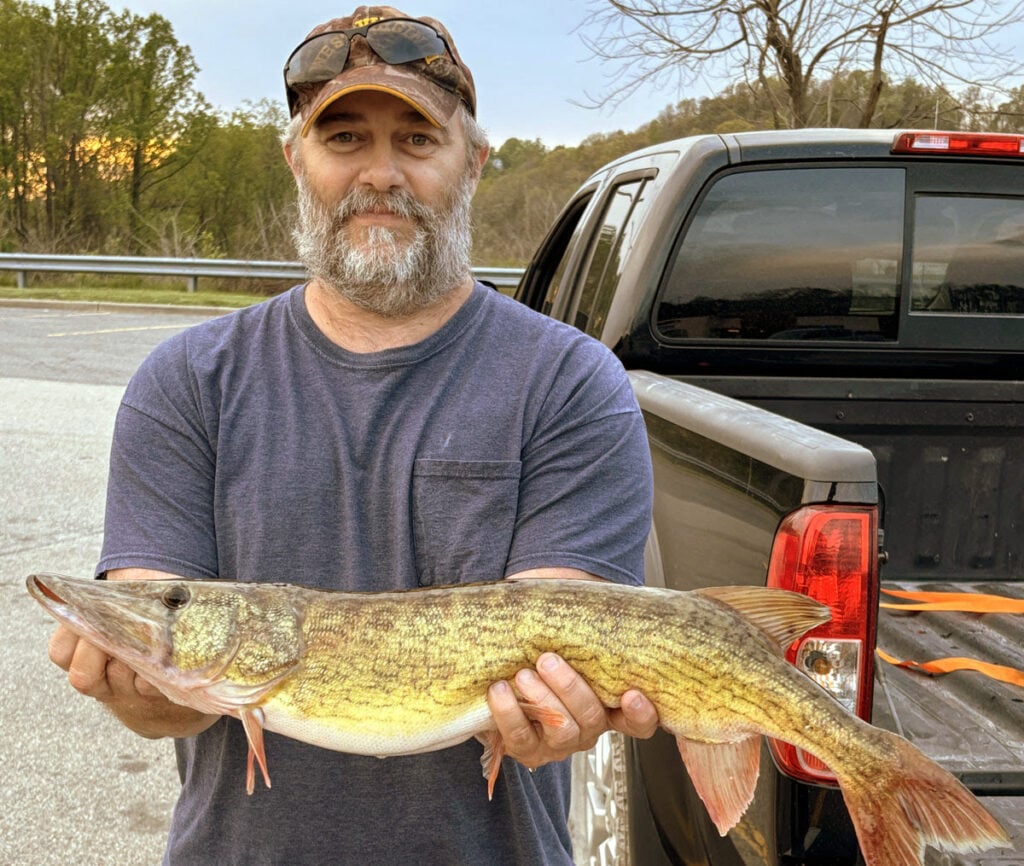 Matt Born of Reedsville, West Virginia, has caught a new state record chain pickerel.