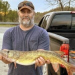 Matt Born of Reedsville, West Virginia, has caught a new state record chain pickerel.