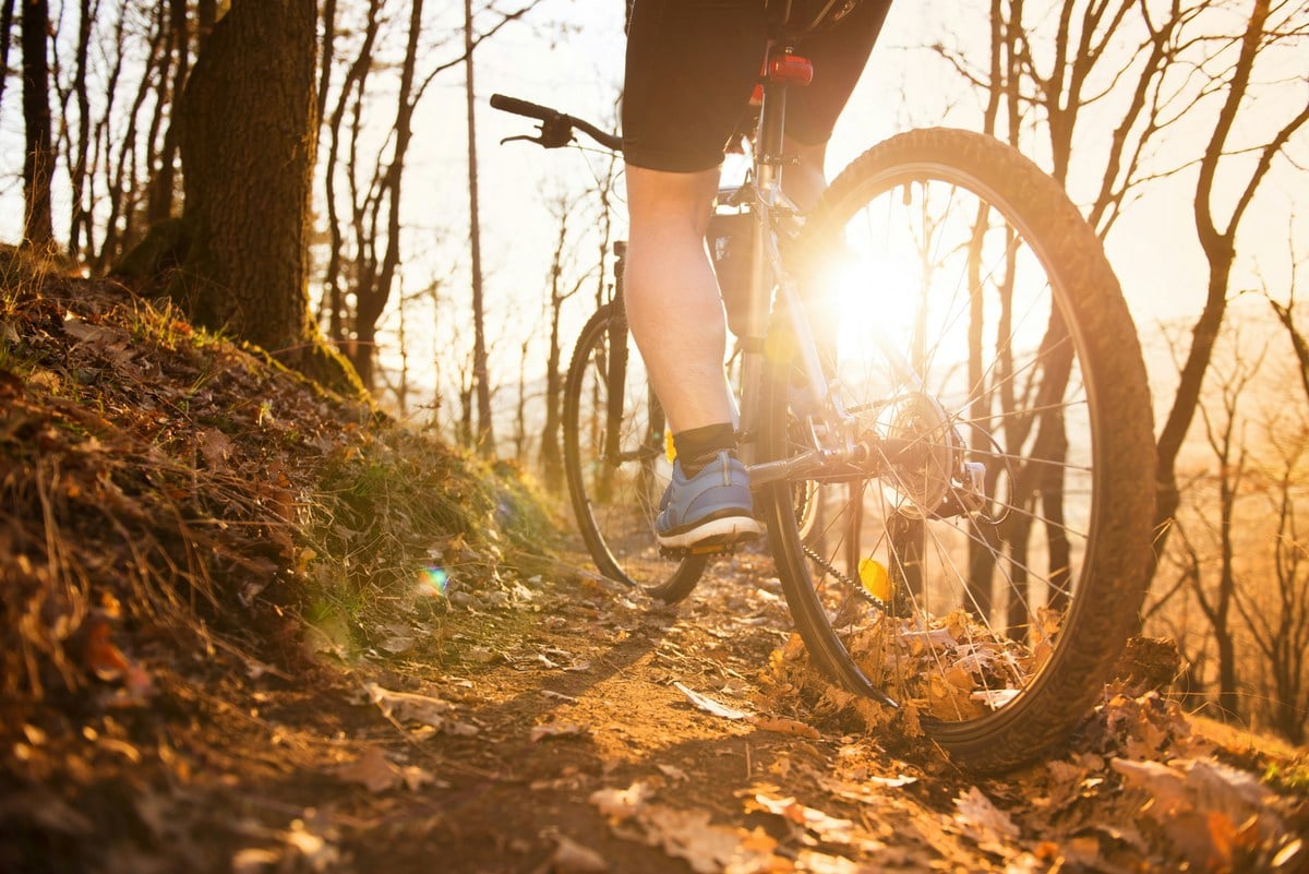 One of the largest networks on the East Coast, the routes activate thousands of miles of gravel roads across the Mon Forest for visitors and communities. (Photo: Getty Images)