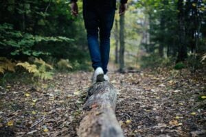 Forest projects have included stream restoration, erosion control, invasive plant removal, native tree planting, wildlife habitat improvements, and trail or road maintenance.