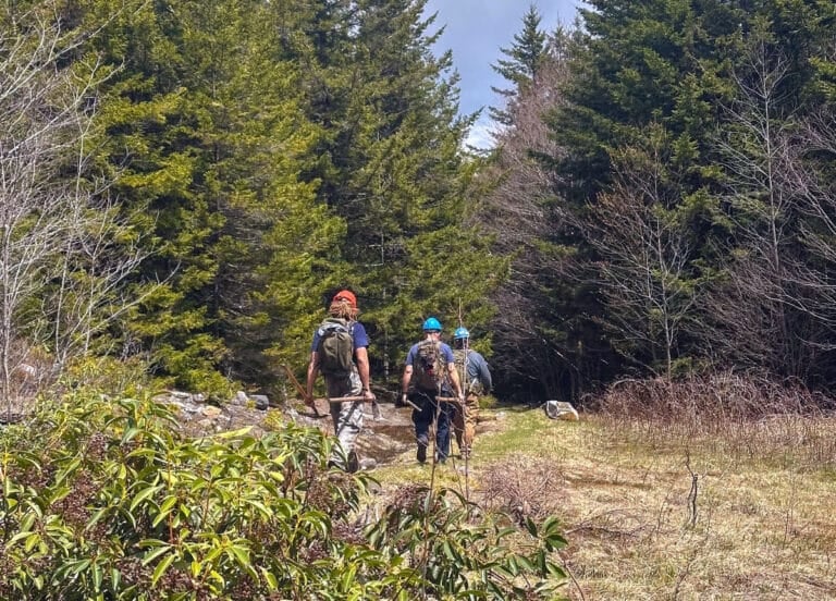 A new partnership is working to improve and maintain more than 500 miles of trail in the northern region of the Monongahela National Forest.