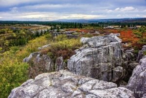 Bear Rocks Preserve, Dolly Sods, West Virginia