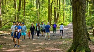 Best Hiking Trails in West Virginia Etiquette