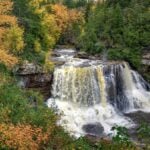 Blackwater Falls in Tucker County ranks among the tallest and most visited waterfalls in West Virginia, drawing hundreds of thousands of visitors annually.