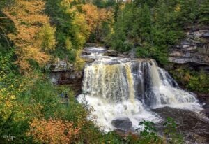 Blackwater Falls in Tucker County ranks among the tallest and most visited waterfalls in West Virginia, drawing hundreds of thousands of visitors annually.