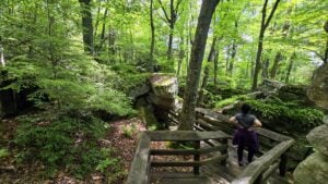 An extensive boardwalk system guides visitors through Beartown State Park's maze of towering sandstone formations, making one of West Virginia's strangest landscapes accessible to travelers of all ages.