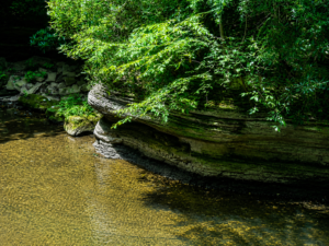 Tomlinson Run courses beside sculpted cliffs in a remote section of the park. (Photo: David Sibray)