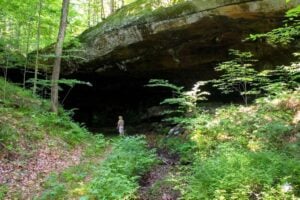 West Virginia Explorer publisher David Sibray visits a large crepuscular cave in Jackson County, West Virginia, near Kentuck.
