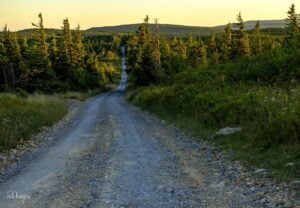 Visitors to the Dolly Sods Wilderness Area will able to drive Forest Road 75 (pictured) along the Allegheny Front though Forest Road 19 from Lanesville will be closed for repairs.