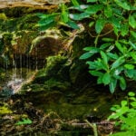 Streams like this one may appear insignificant, but researchers say small mountain headwaters collectively play a major role in supplying and protecting Charleston's drinking water. (WVExplorer Photo)
