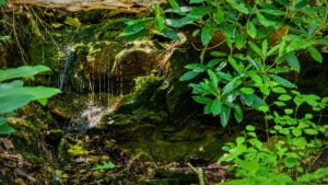 Streams like this one may appear insignificant, but researchers say small mountain headwaters collectively play a major role in supplying and protecting Charleston's drinking water. (WVExplorer Photo)